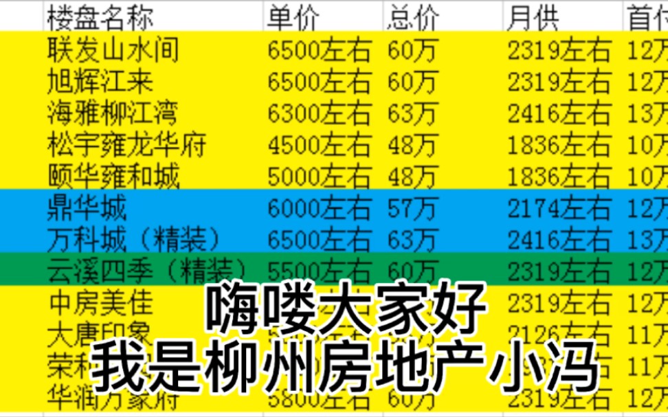 柳州新房月供2200左右的根据自己的生活工作区域选择适合自己的房子哦需要优惠折扣的赶紧联系哦#柳州房地产哔哩哔哩bilibili