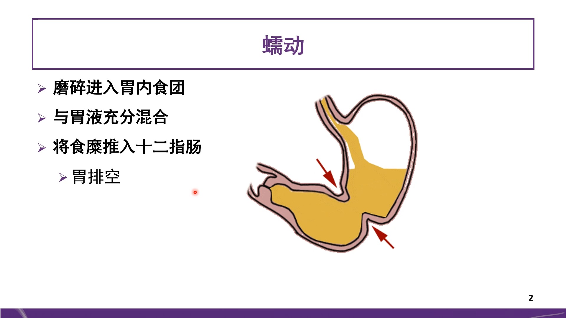 胃的运动形式:蠕动,胃排空