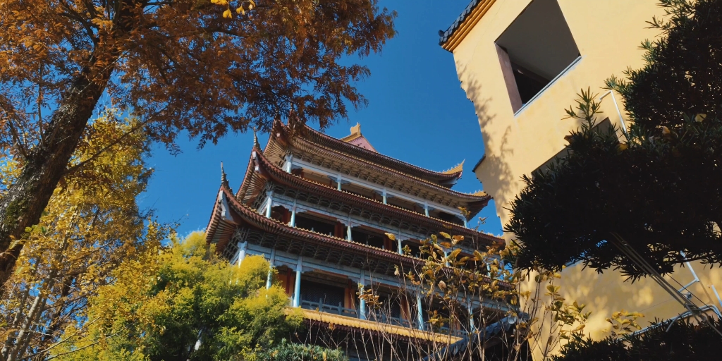 小米11ultra mcpro24fps拍摄台州广化寺游记必剪调色