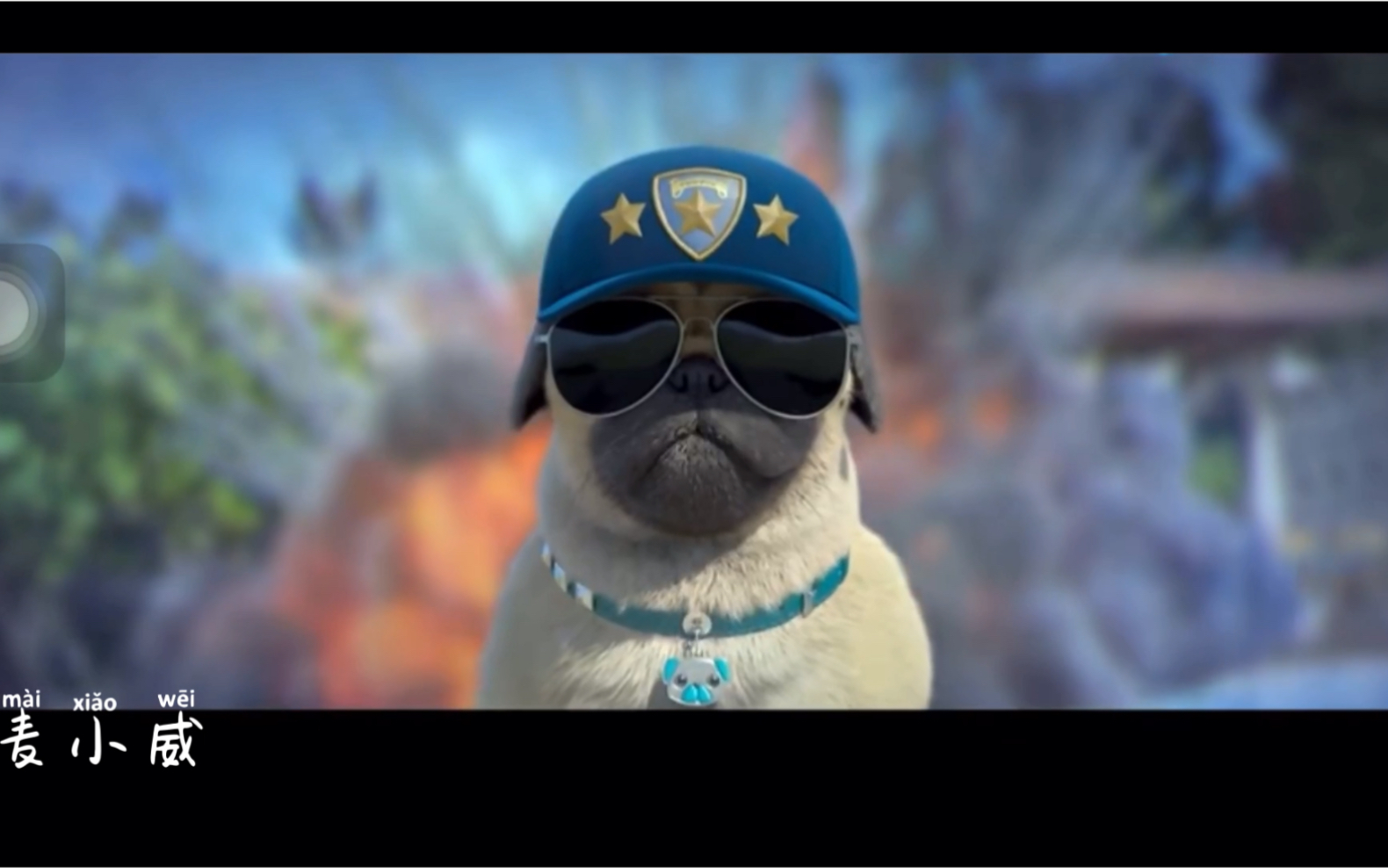 活动作品私家侦探狗