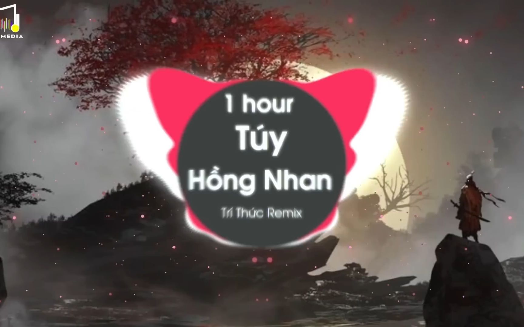 [图][1 HOUR]Nhan (Remix) 抖音热门神曲2023