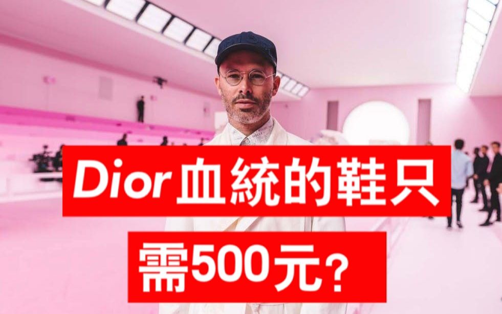 只需500元就能买到Dior设计师设计的鞋?哔哩哔哩bilibili