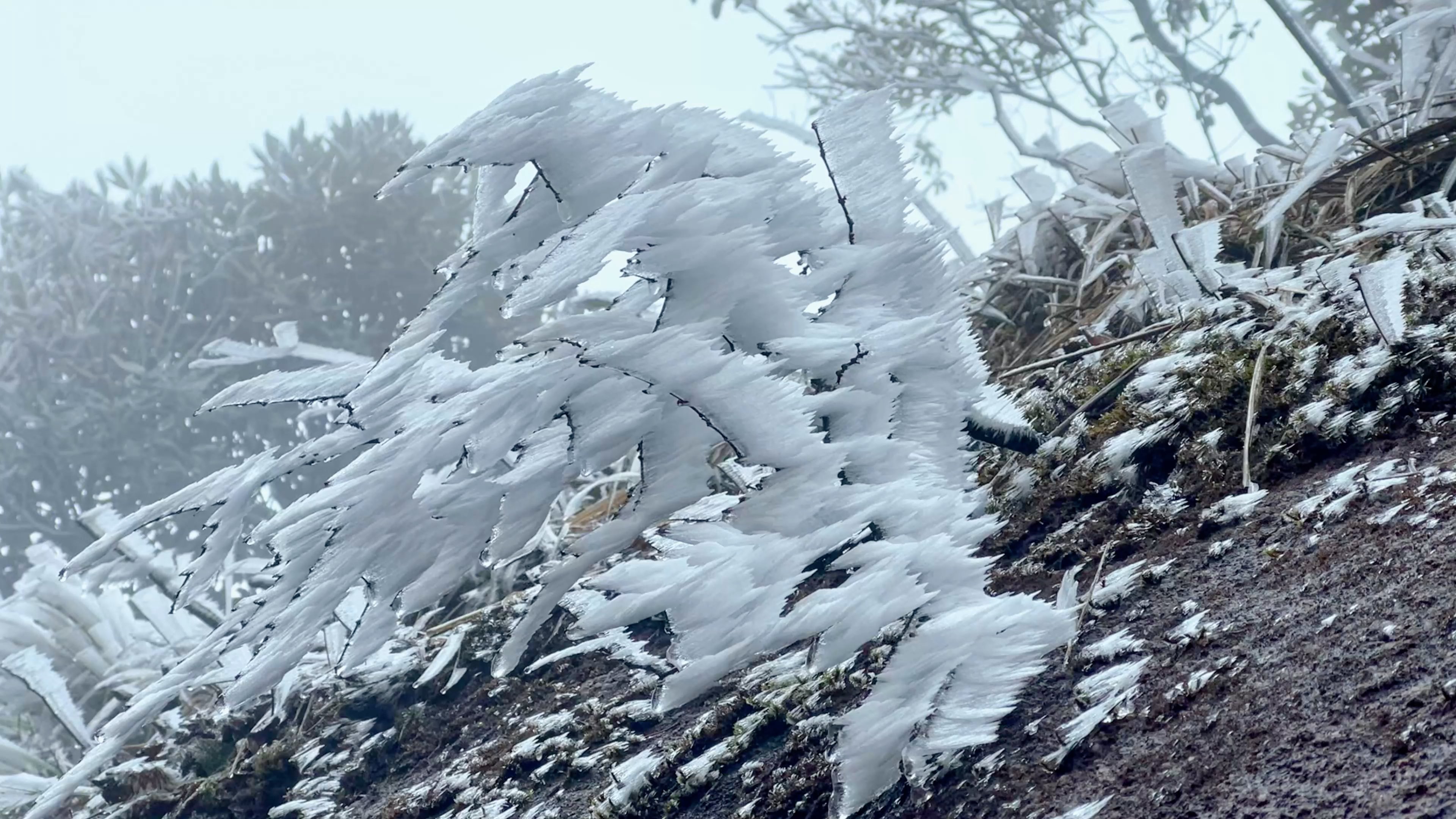 灵山下雪预告