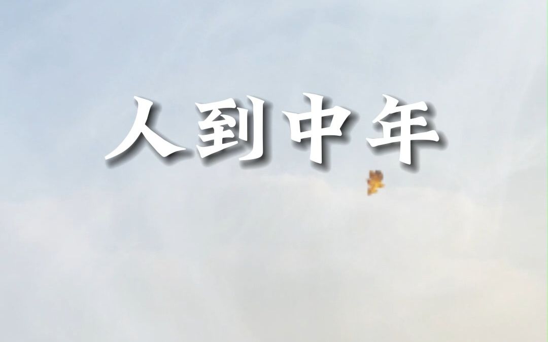 热门歌曲《人到中年》哔哩哔哩bilibili