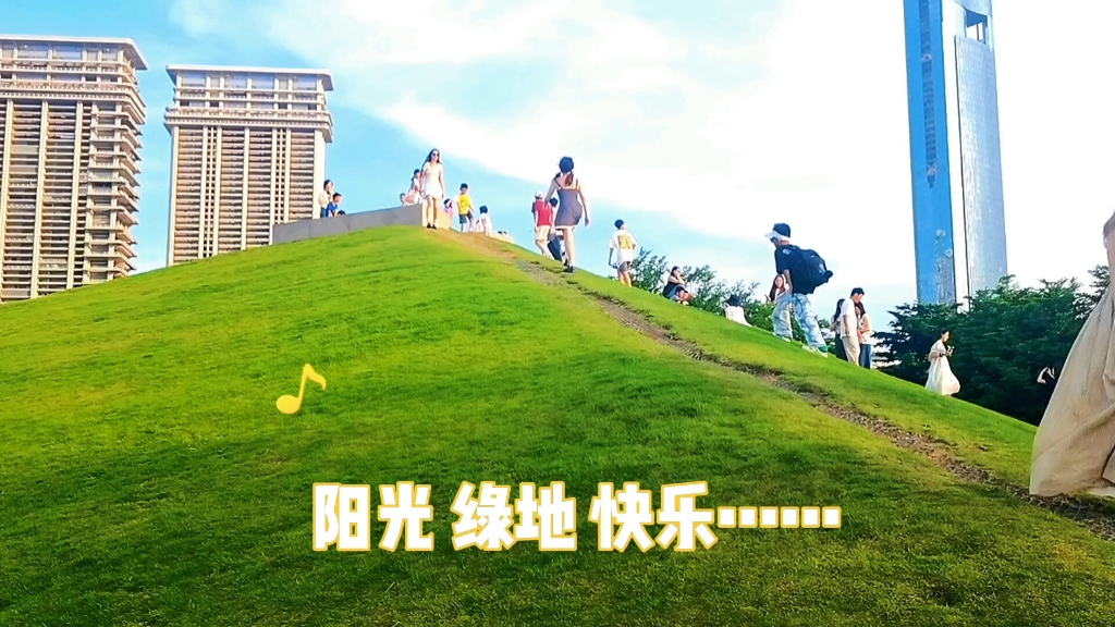 阳光 草地 快乐