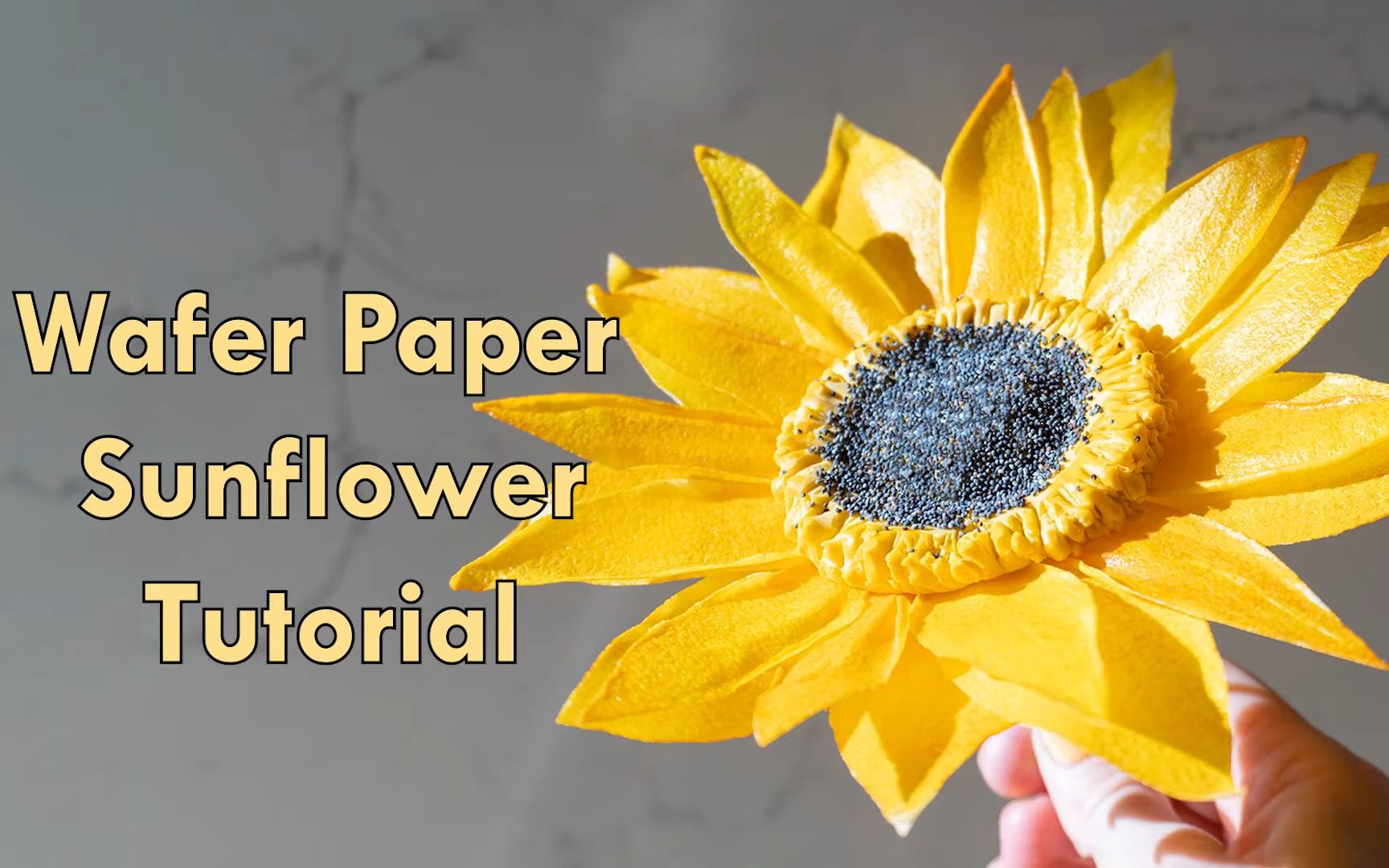 【cheshire bakery】向日葵威化纸花制作教程wafer paper sunflower