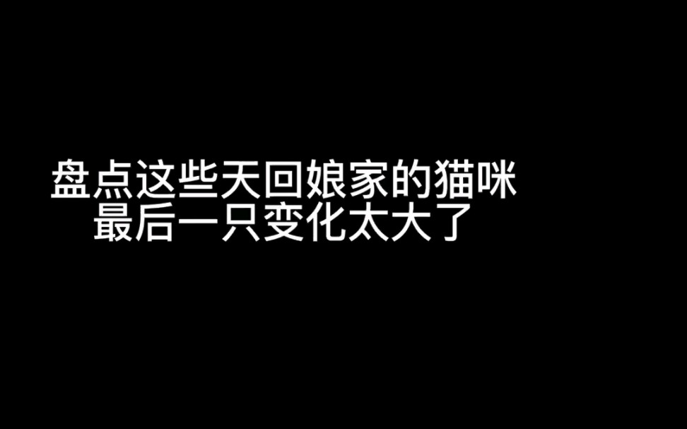 [图]它们都是经历过九死一生才遇到了心软的人把它们治好并找到了一个幸福的家，最近回来基地，看到变化真的太大了，是时候考验一下你们了，还记得它们的名字吗