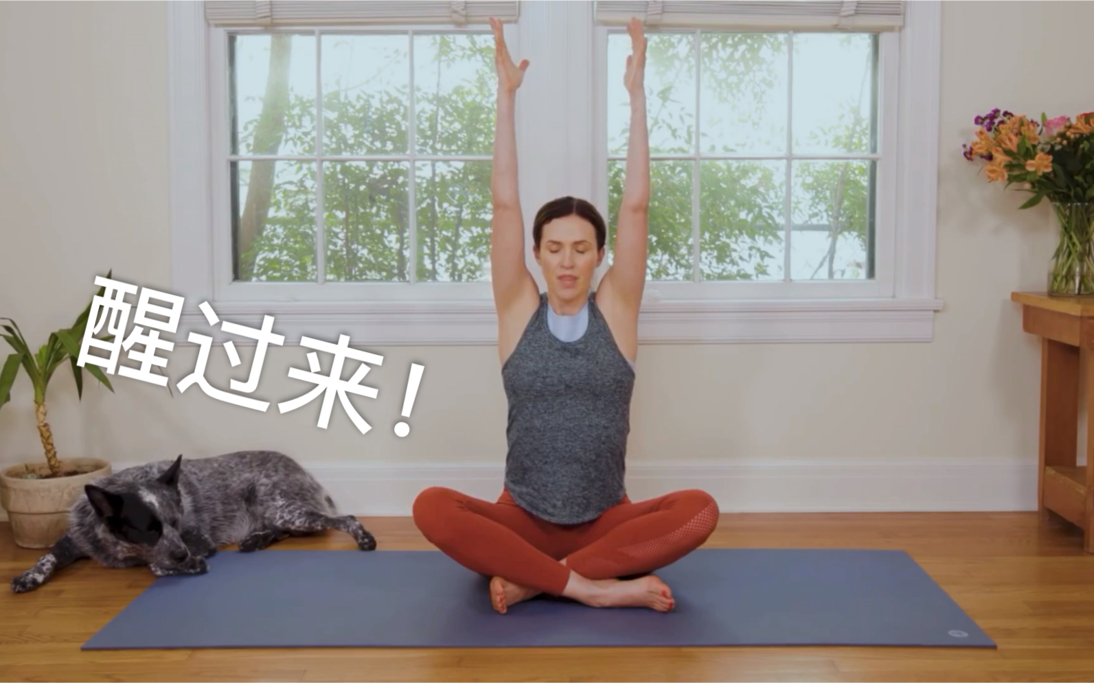 [图]Yoga with Adriene｜morning yoga十分钟早晨唤醒瑜伽 英文字幕（自用）