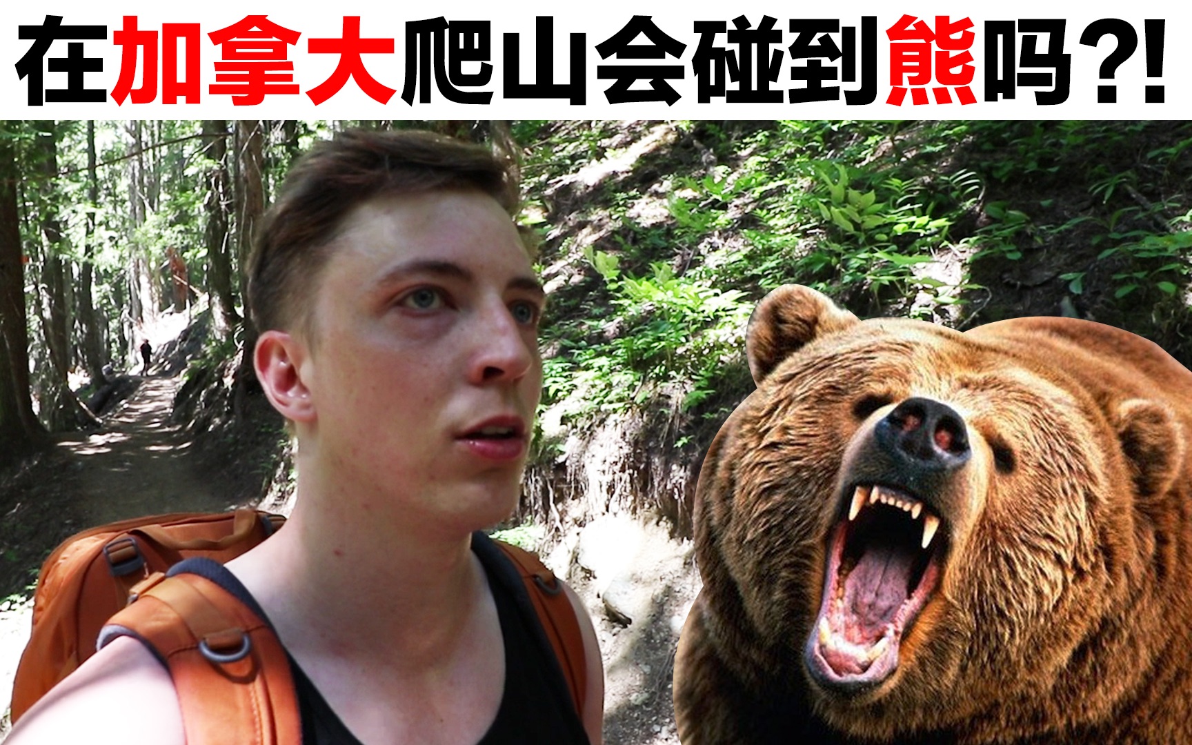 【杰里德jared】在加拿大爬山会碰到熊吗?