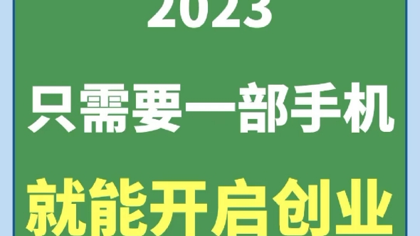 2023最新6000个互联网风口项目.哔哩哔哩bilibili