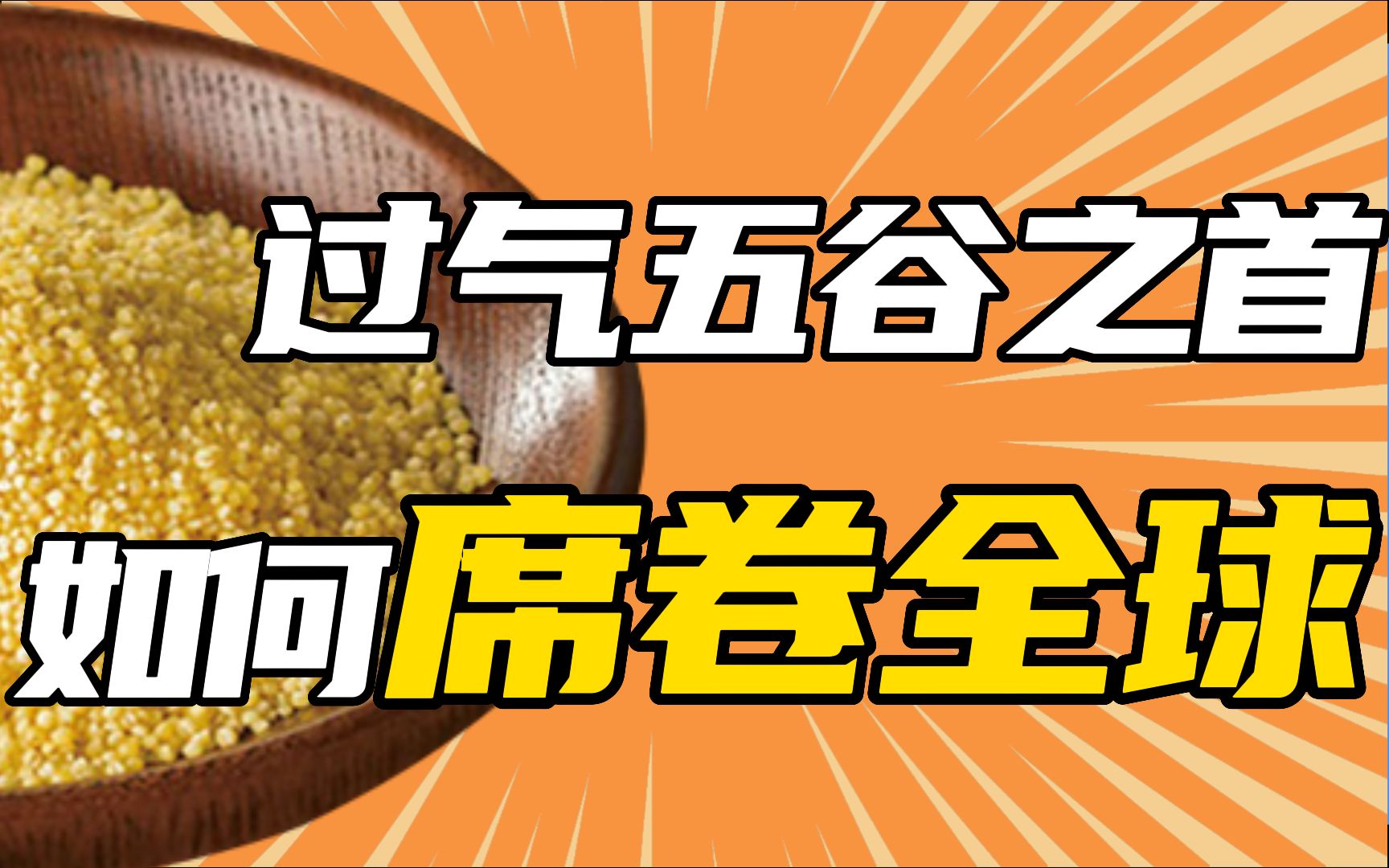 【东南大学李昕升】小米怎样席卷全球?“五谷”之首因何走向衰落?哔哩哔哩bilibili