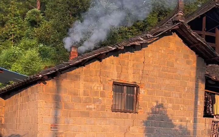 太爱这乡村小院了!炊烟袅袅,果树绕屋