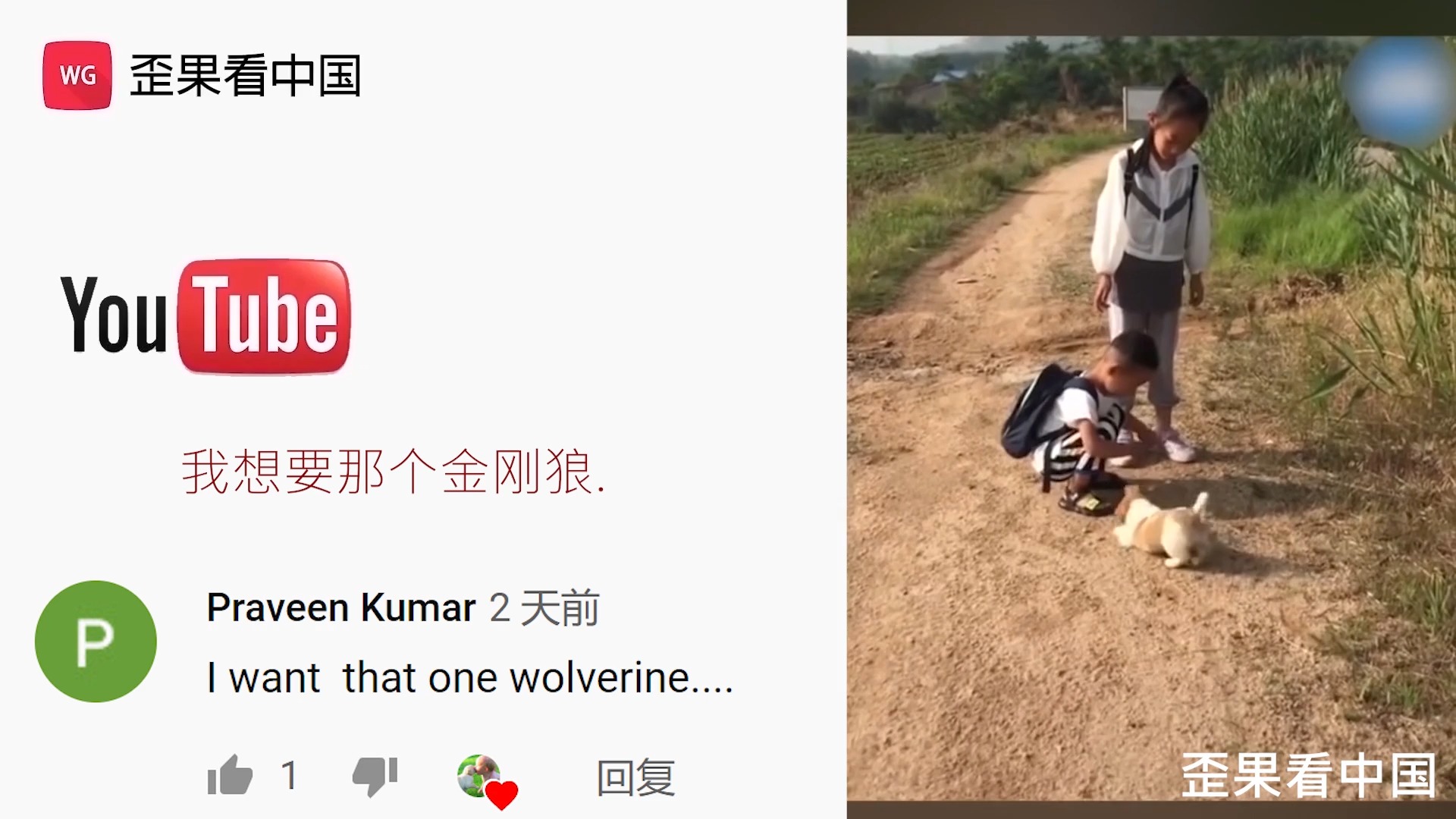 中华田园幼犬可爱系列迷倒老外 外国网友:好可爱好想养一只