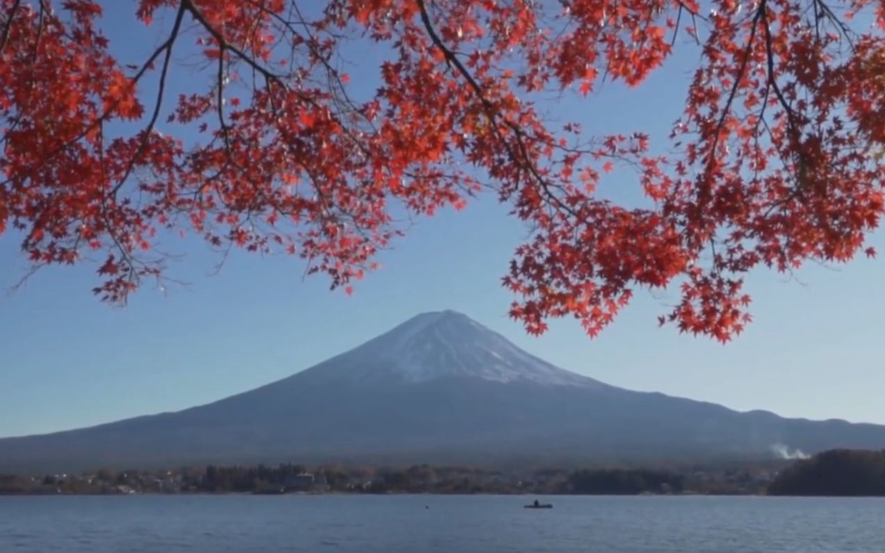 富士山下櫻花盛開近距離多角度欣賞富士山之美