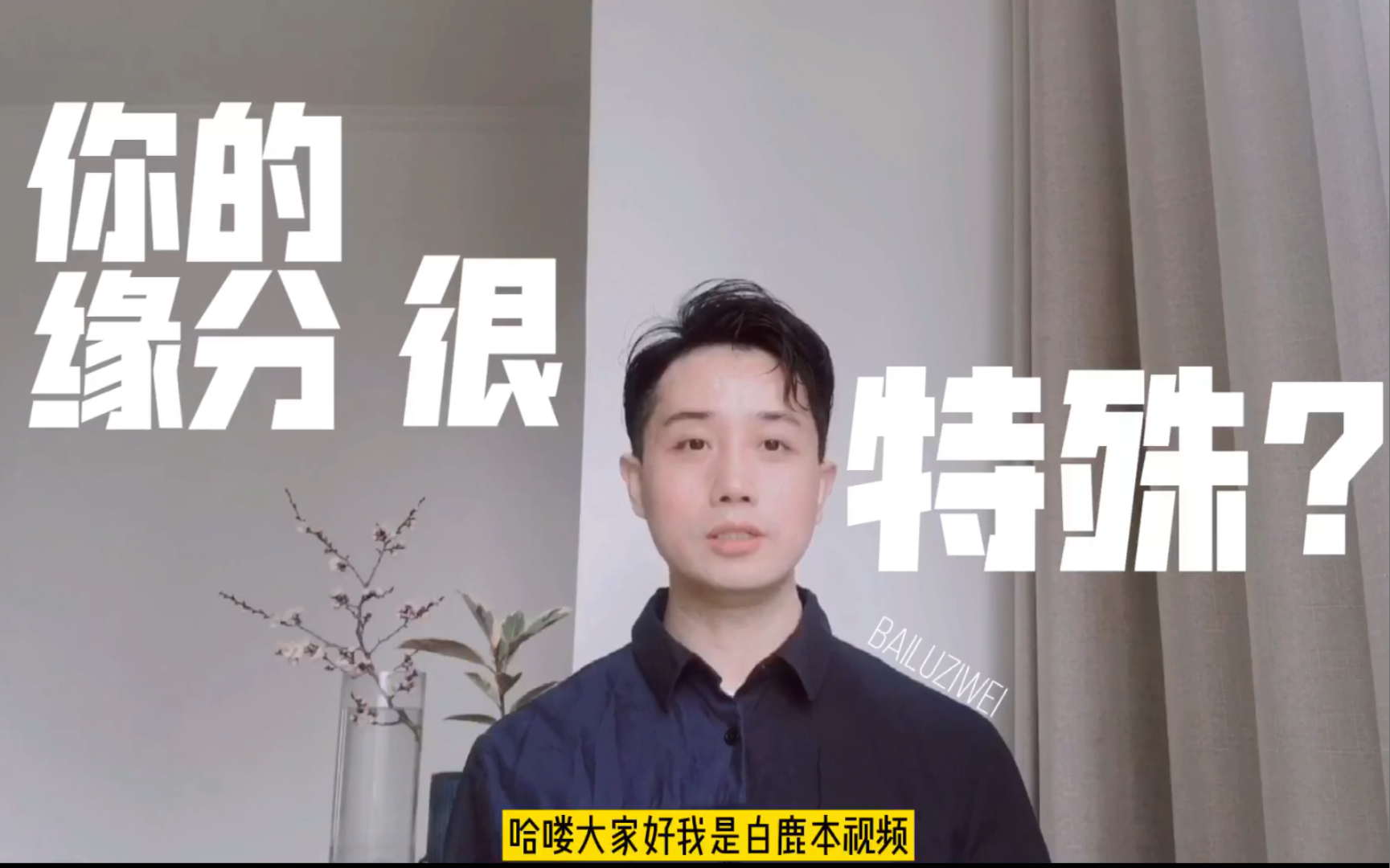 212白鹿紫微斗数从0到1:查缘份时命理师讲你比较特殊?哔哩哔哩bilibili