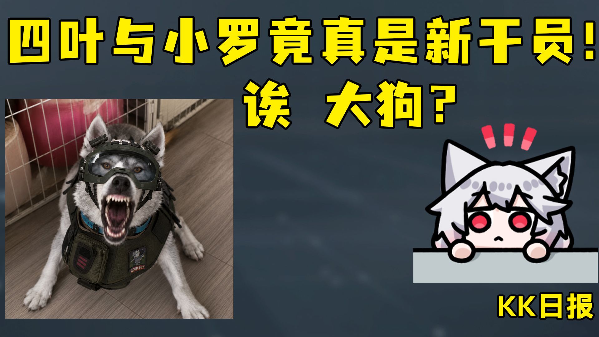四叶与小罗真来GTI啦！大狗登场！来！开始猜技能！