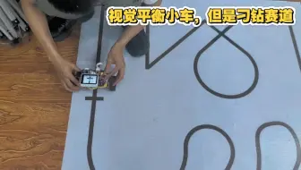二轮智能循迹平衡小车