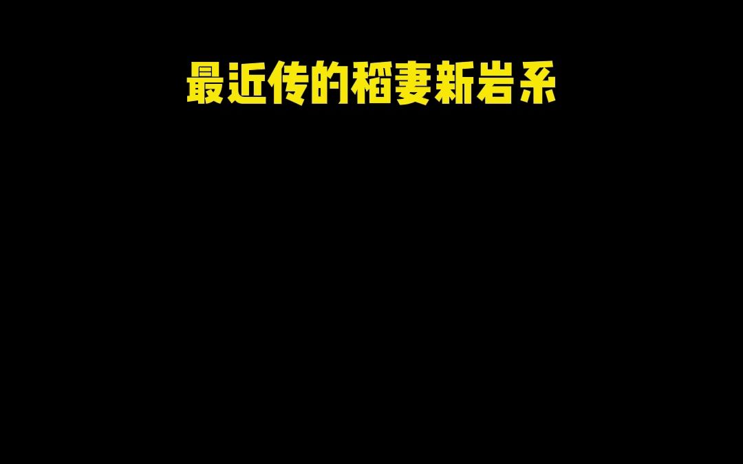 稻妻新岩系角色希娜小姐要登场了?原神