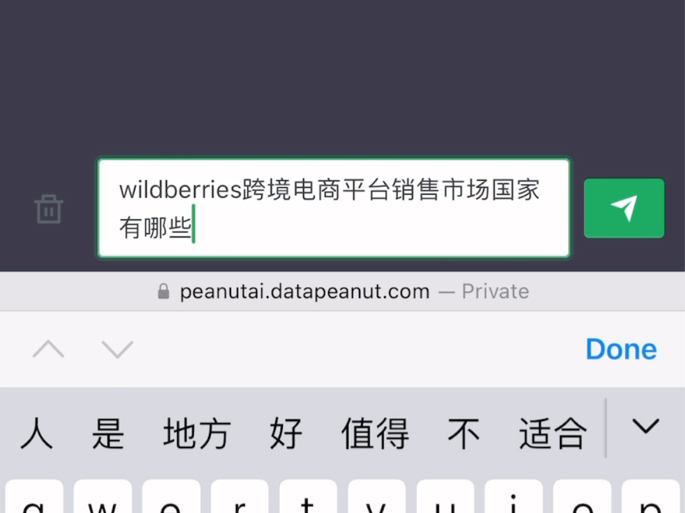 用花生AI每天认识一个跨境电商平台wildberries#跨境电商哔哩哔哩bilibili