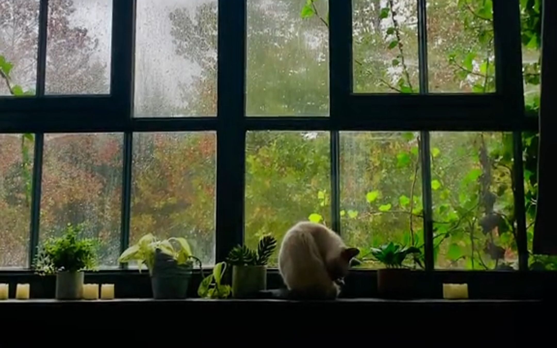 [图]“喜欢下雨，喜欢那种隔着窗户静静听雨的感觉～”