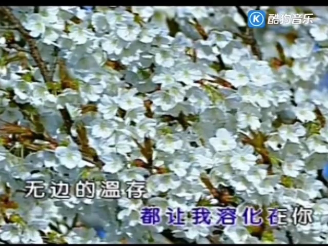 刀郎 - 情人(天赋唱片版)