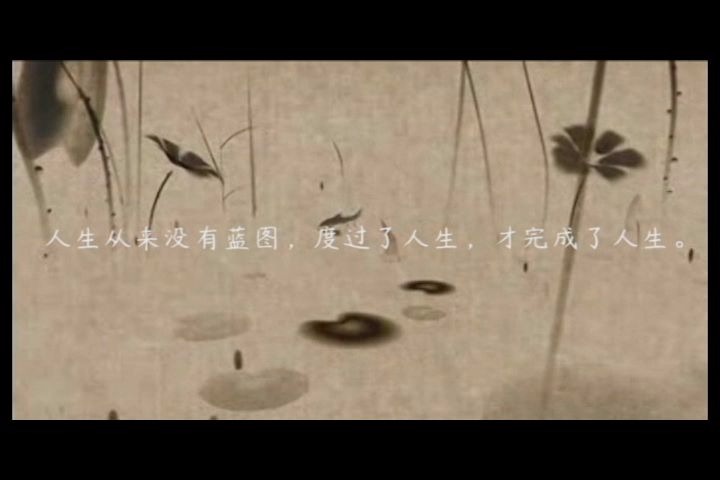 [文摘]《穆斯林的葬礼》多元冲突下的沉重悲剧哔哩哔哩bilibili