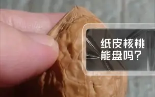 Descargar video: 有人玩过这种纸皮核桃吗？