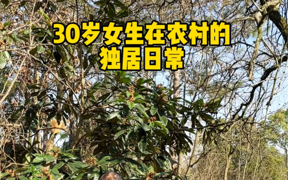 在农村住这么破的房子真的真槽糕吗 我们一家在这里住了几十年 我从来没觉得我们住的地方不好 我觉得在自己能力范围之内住着舒服就行了 普通人的生活不...