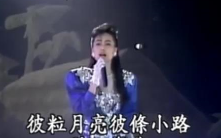 [图]1988 江蕙组曲 - 相思梦・伤心的所在・水车姑娘・西北雨・爱人是行船人