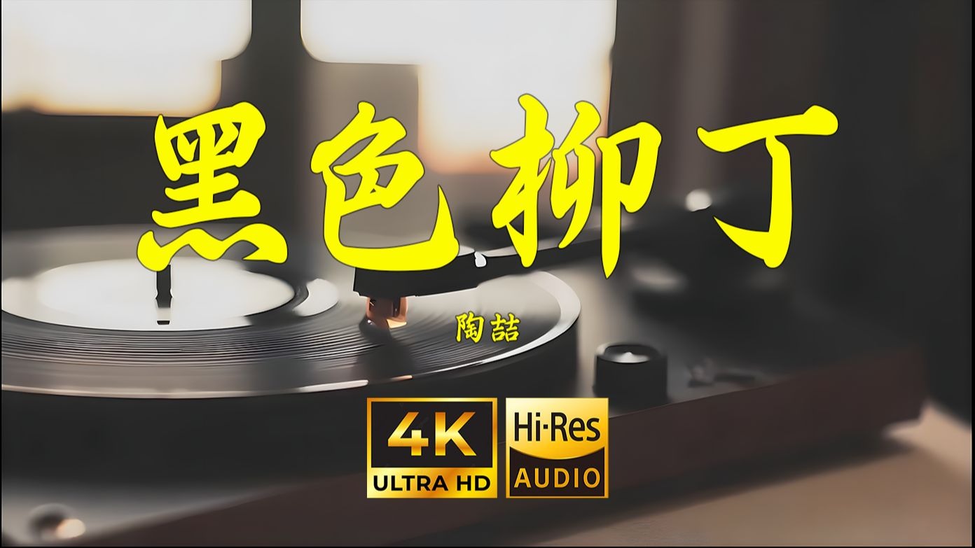 【4K Hi-Res】黑色柳丁-陶喆