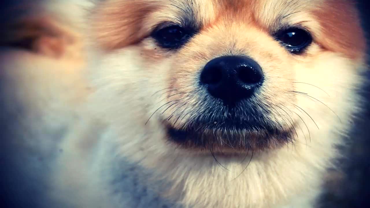 一人之交ewmafpuxrxix