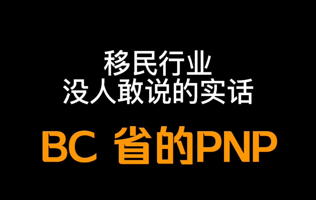 你真的了解pnp项目么?哔哩哔哩bilibili