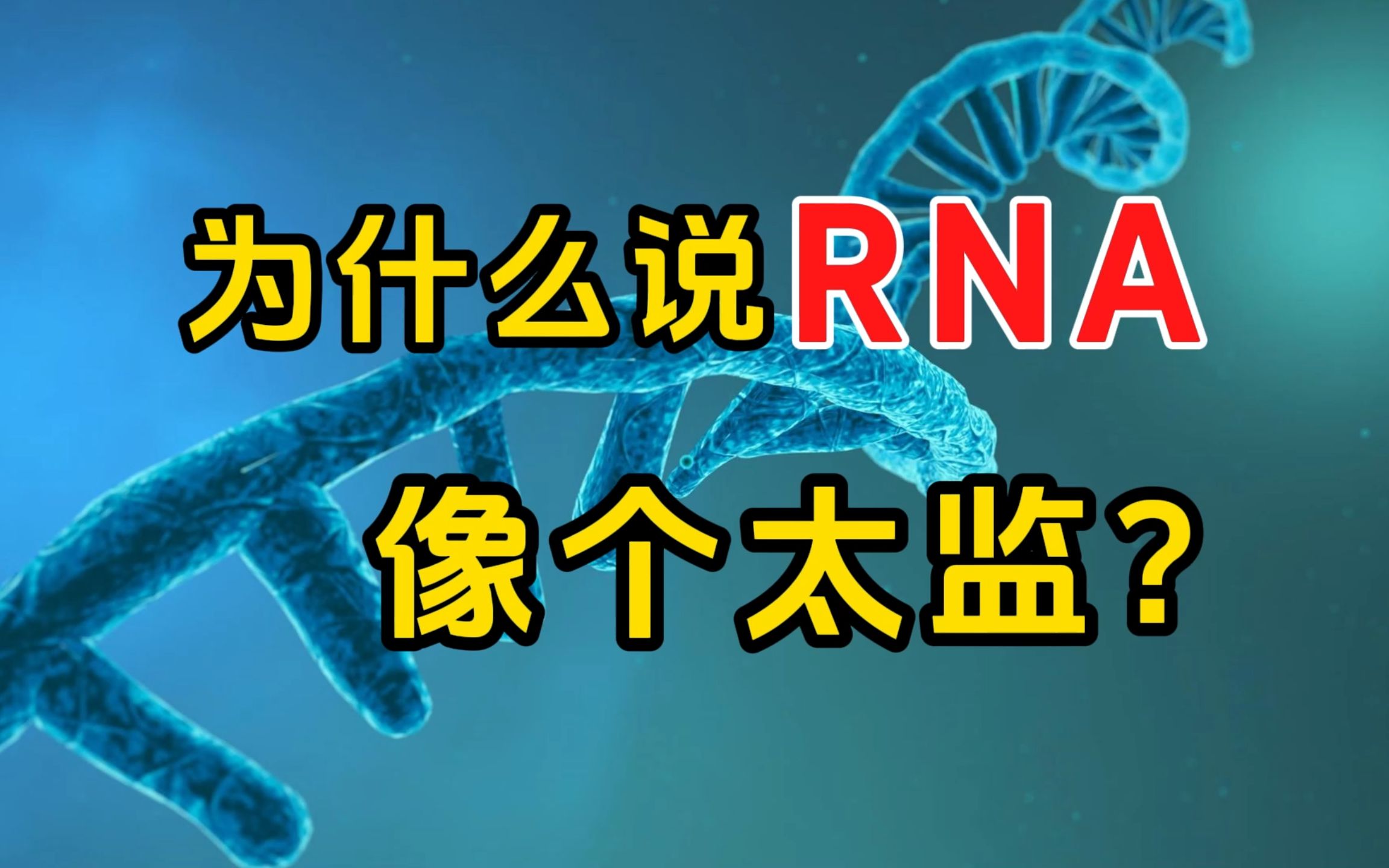 [细胞秘事03] RNA的结构与功能:像个太监?哔哩哔哩bilibili