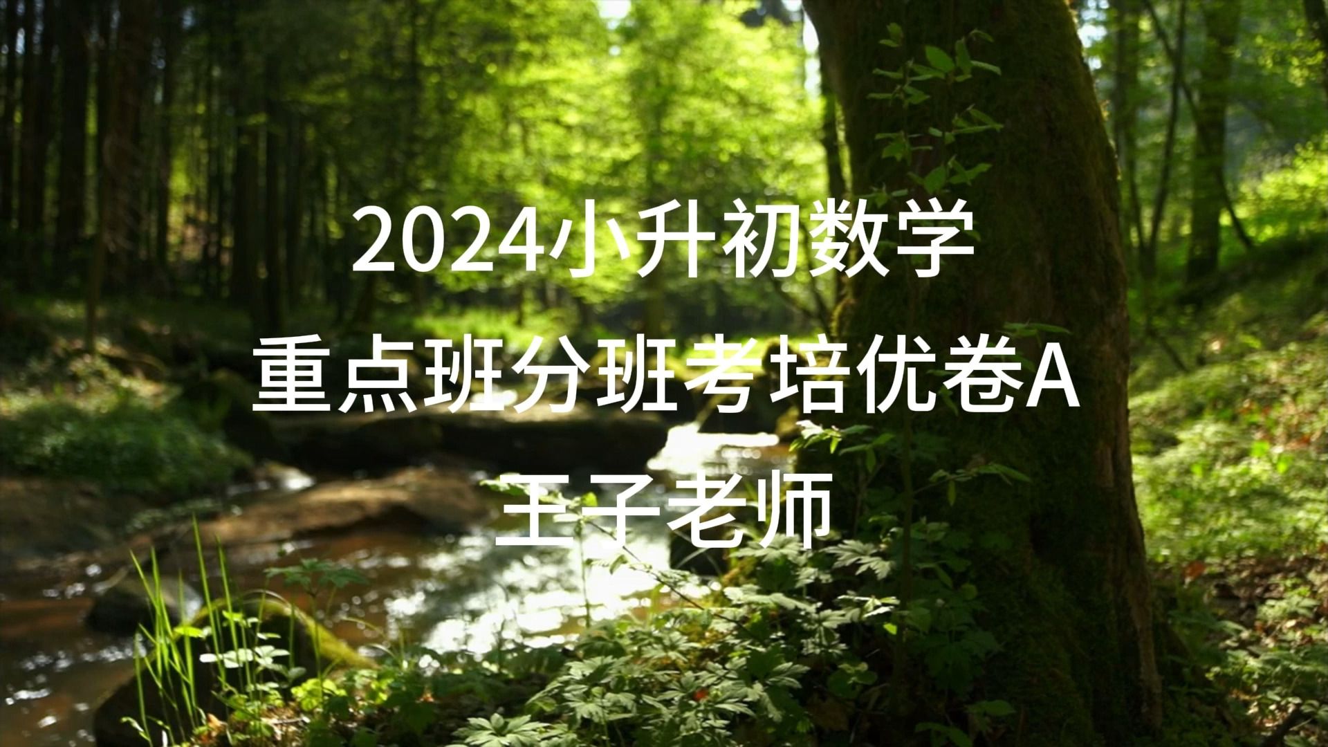 [图]重点中学2024-2025学年小升初数学真题重点班分班考培优卷A