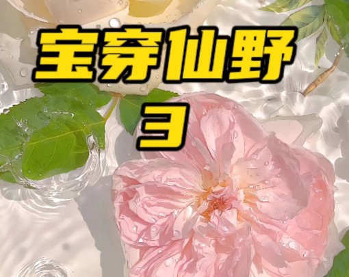 铭:《宝 穿 仙 野》哔哩哔哩bilibili