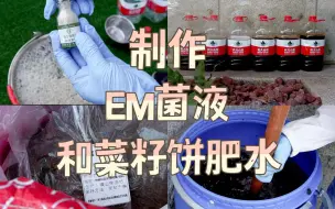 Descargar video: 蔡八八小课堂 | 如何制作EM菌液和菜籽饼肥水