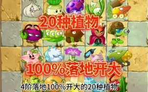 Download Video: 100%落地开大的20种植物