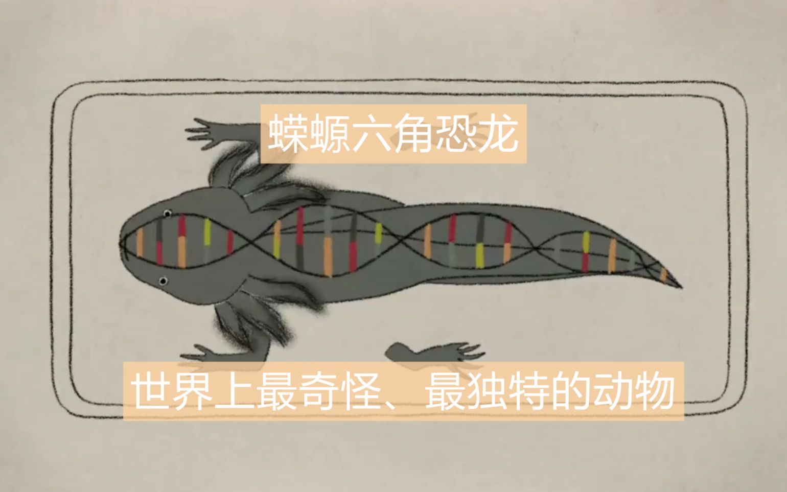 蝾螈六角恐龙是世界上最奇怪、最独特的动物哔哩哔哩bilibili