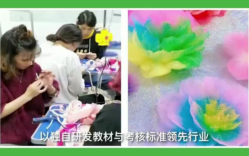 宠物美容哪家好呢?更干净的洗护在圣宠哔哩哔哩bilibili