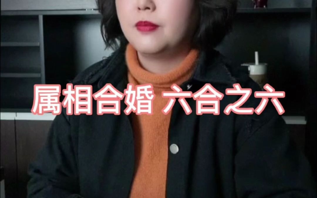 属相合婚 六合之六哔哩哔哩bilibili