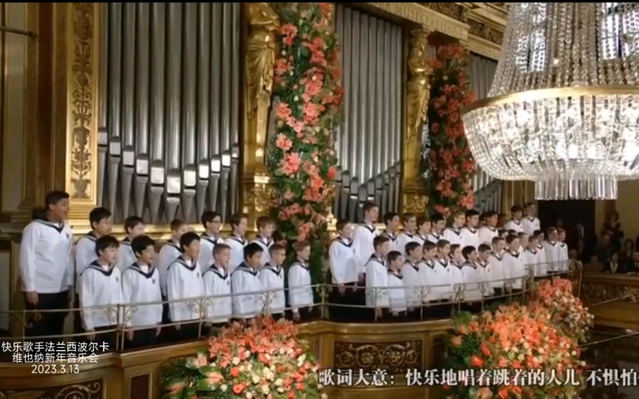 [图]快乐歌手法兰西波尔卡维也纳新年音乐会曲目