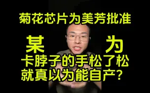 下载视频: 【户圣】菊花的芯片是某芯国际代产，真以为能自研？-内容用戶晨风不是户晨风公开素材版权 素材来着2023年