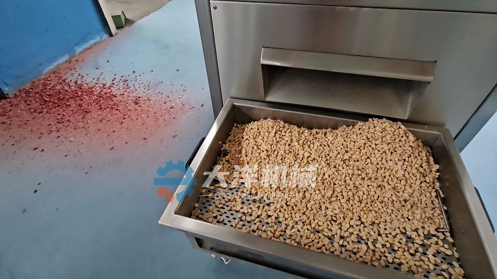 干法花生米脱皮机 干果去皮机器效果展示