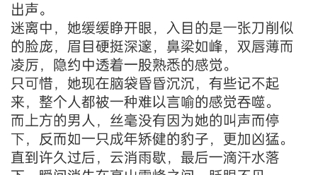 《带球跑!冷面指挥使大人宠我没下限》洛染傅今安小说阅读包结局