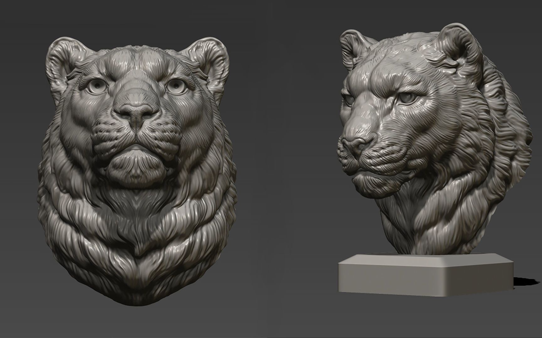 zbrush雪豹头像动物雕刻参考资料,zbrush雕刻资料