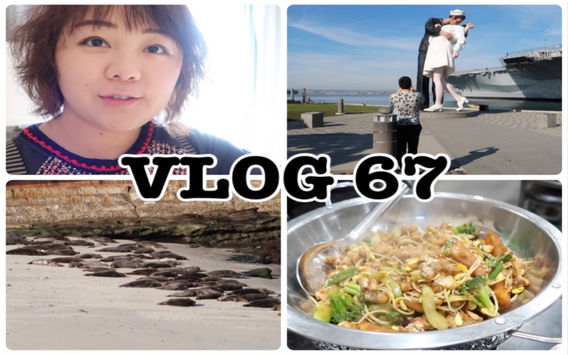 [图]VLOG67|| 圣地亚哥：胜利之吻+BALBOA公园+La Jolla Cove海豹滩+香锅大王+城市印象。