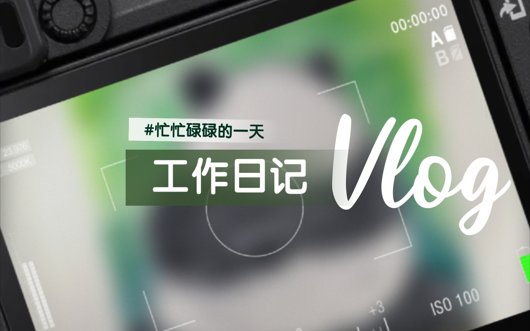 忙碌的周一#录课备课整理材料教案笔记例会#仅有的空暇时刻