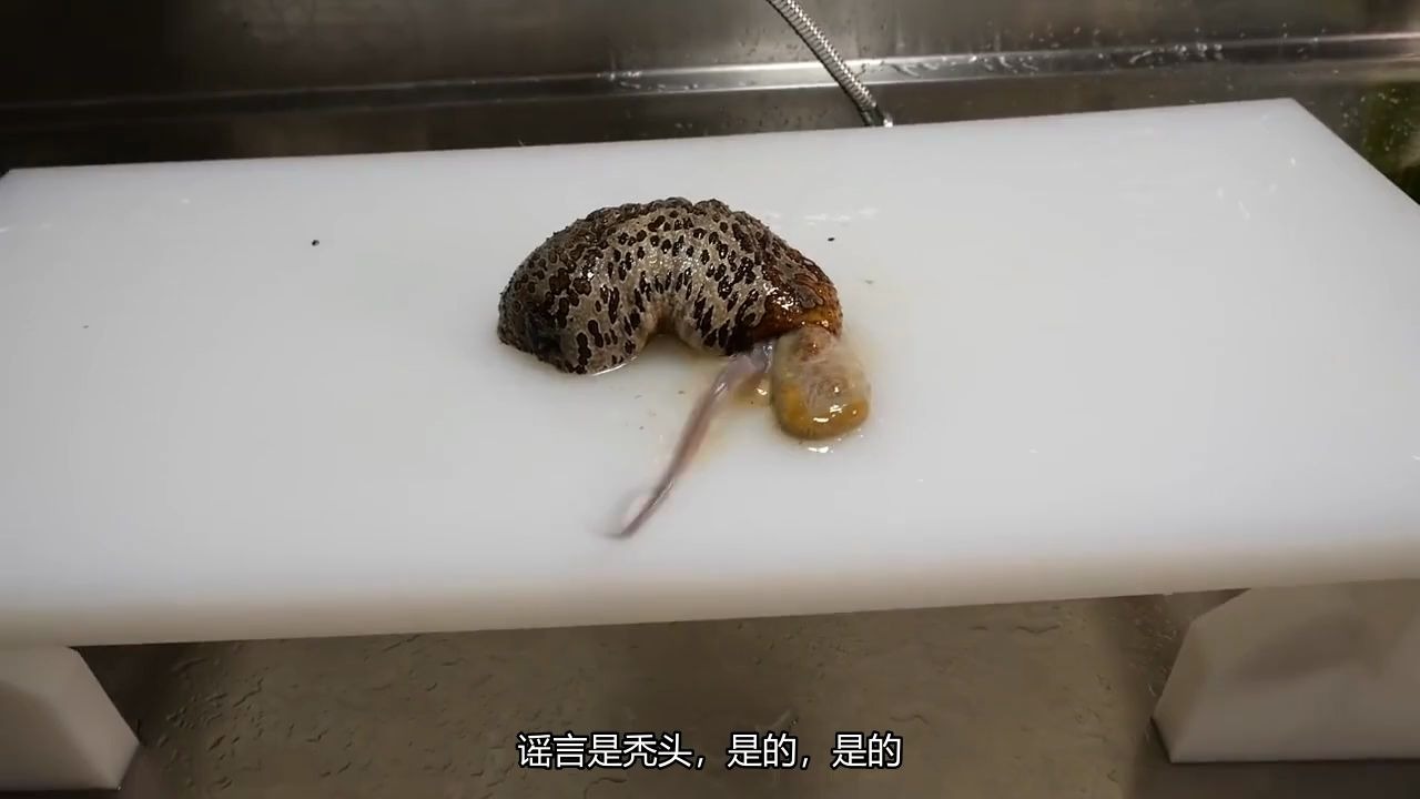 的料理,奇怪的生物特征『寄生』されたナマコの末路がヤバすぎる
