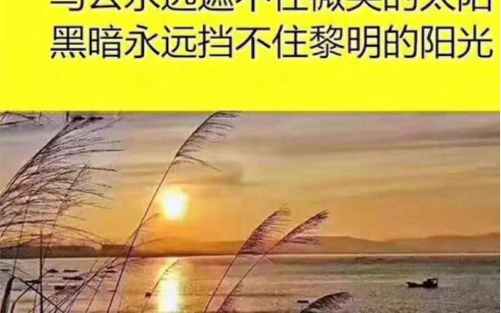 每个人都会死,但并非每个人都曾真正活过!哔哩哔哩bilibili