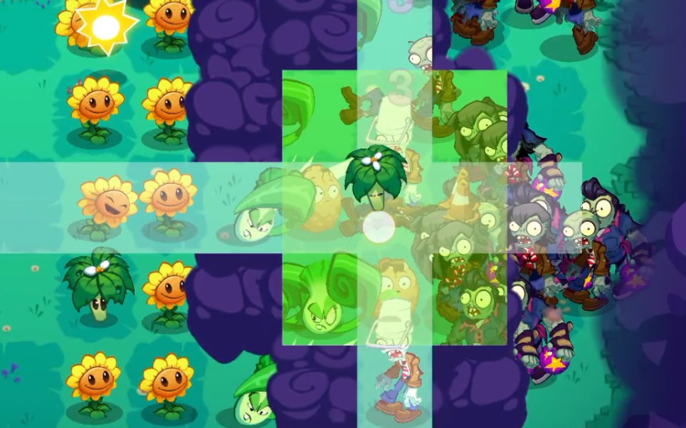 路灯花疑似冒充萝卜伞